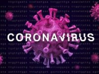 Viaggio al cento del Coronavirus